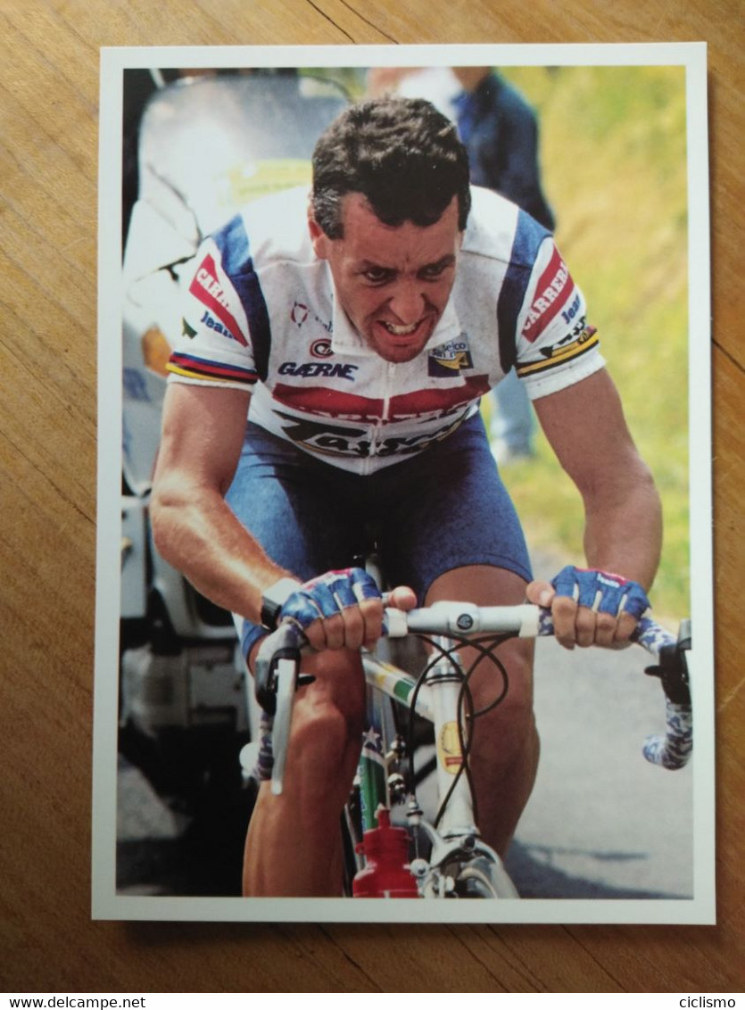 Cyclisme - Carte Publicitaire COEUR De LION  1995 : ROCHE - Radsport