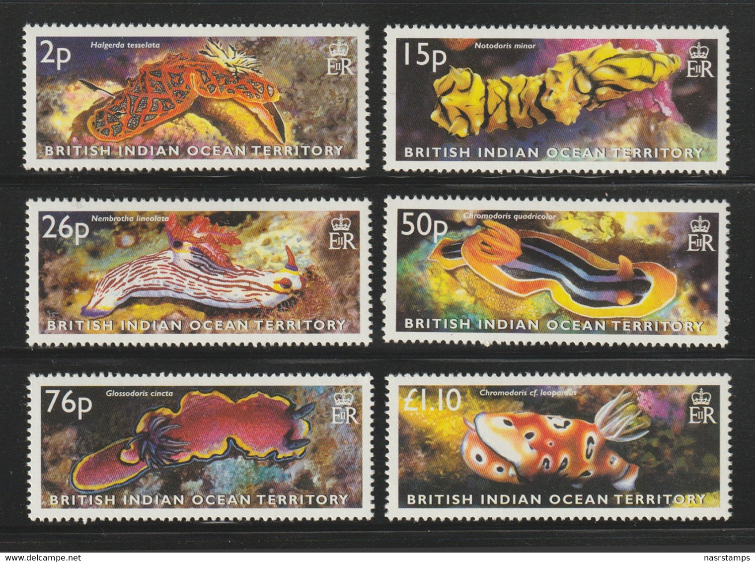 BRITISH INDIAN OCEAN TERRITORY - 2003 - ( Sea Slugs ) - MNH** - British Indian Ocean Territory (BIOT)