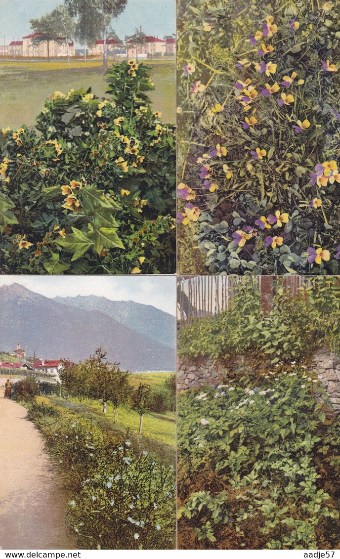 118 cards Medicinal plants; Ed. Gehe & Co.,Dresden  Arznei - Planzen aus Jahre 60  serie complet (?) unused