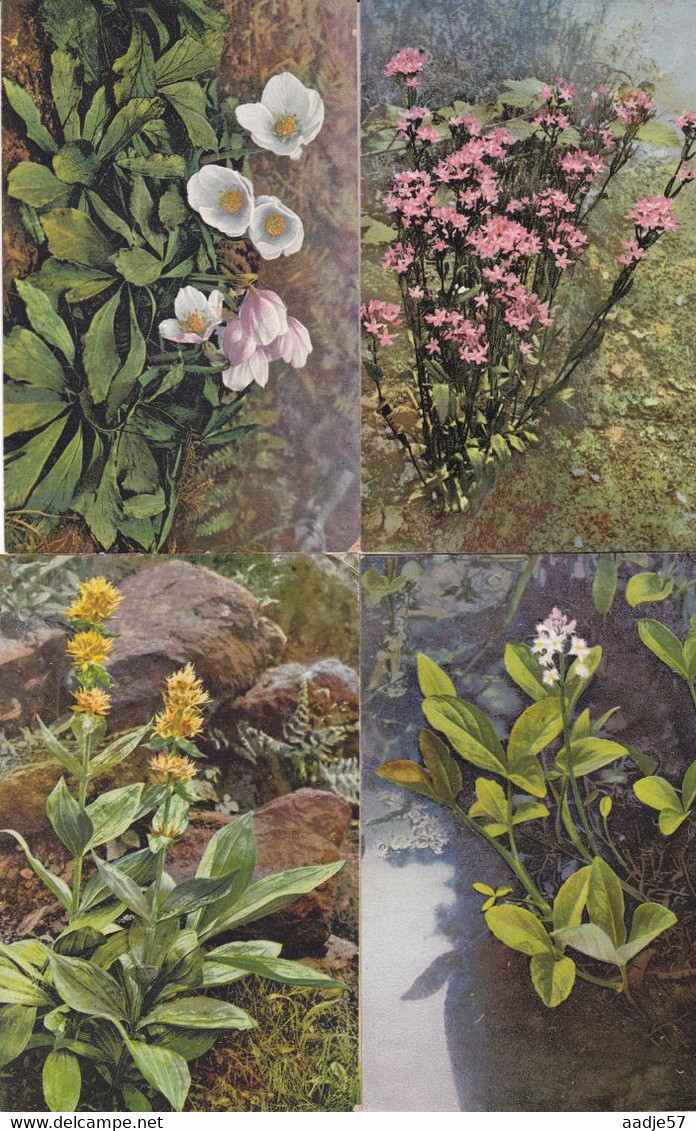 118 cards Medicinal plants; Ed. Gehe & Co.,Dresden  Arznei - Planzen aus Jahre 60  serie complet (?) unused