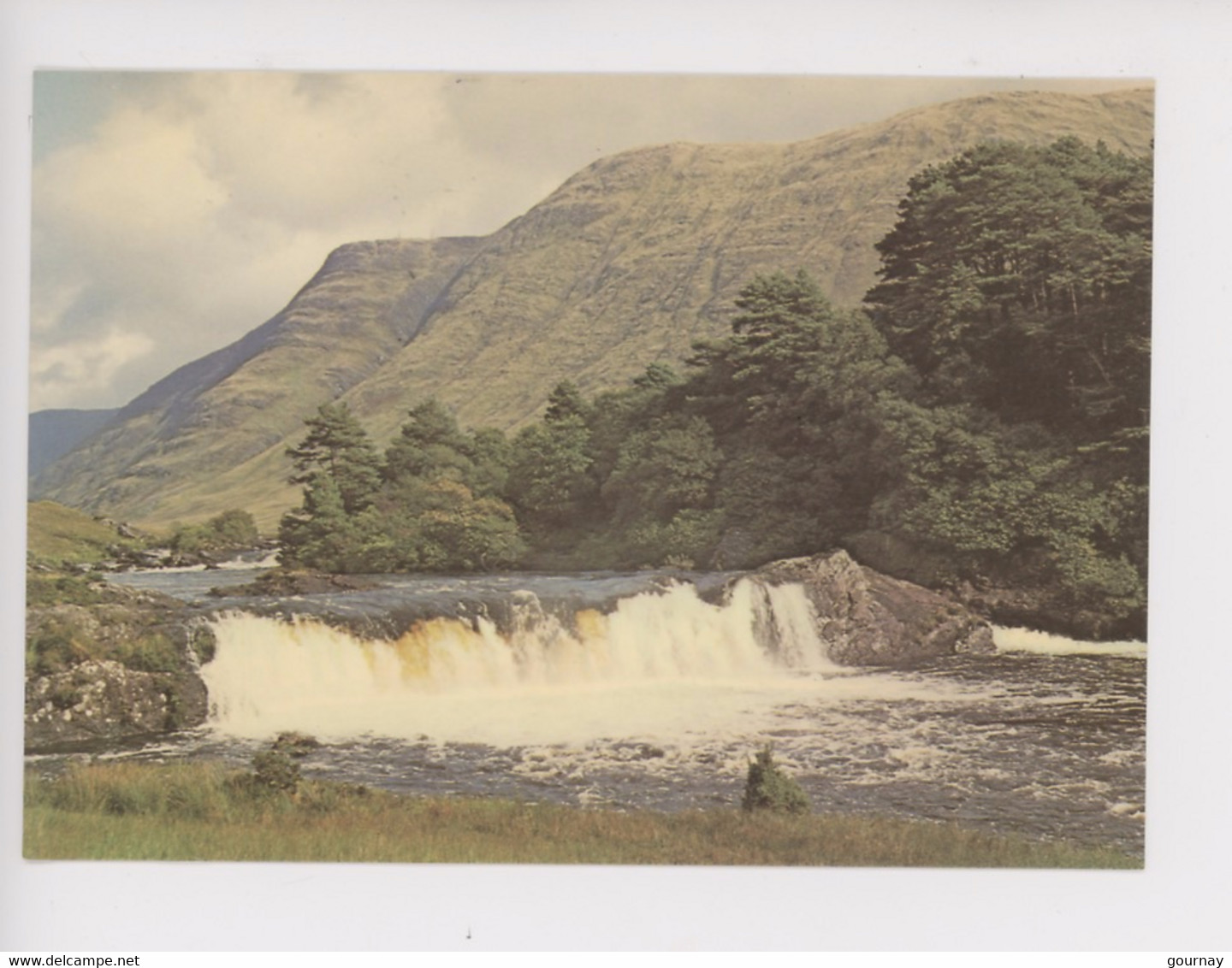 Ireland - Co Mayo - Aasleagh Falls, Erriff River (cp Vierge) - Mayo