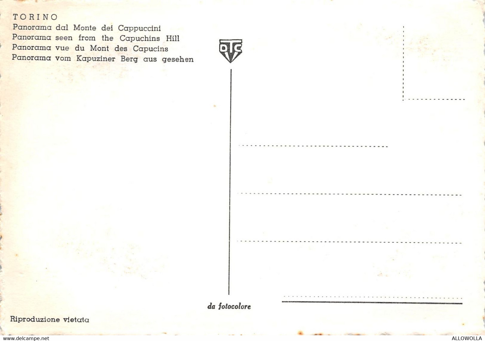 11475" TORINO-PANORAMA DAL MONTE DEI CAPUCCINI"ANIMATA-VEICOLI ANNI '60-VERA FOTO -CART  SPED. - Multi-vues, Vues Panoramiques