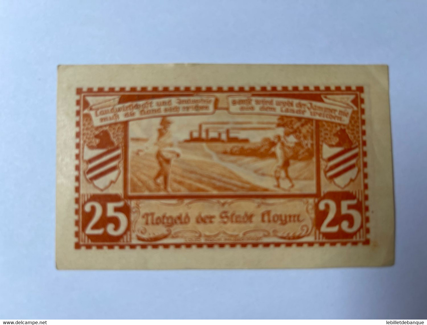 Allemagne Notgeld Hoyn 25 Pfennig - Collections