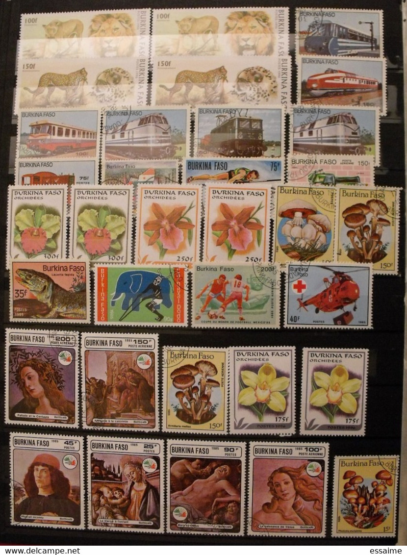 Burkina Faso. Collection De 38 Timbres. Oblitérés Et Neufs - Burkina Faso (1984-...)