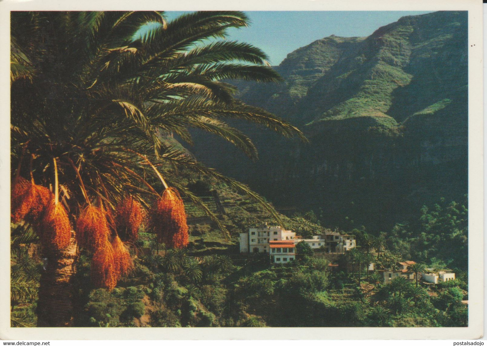 (CANA1486) GOMERA. LOMO DE BALO (VALLE GRAN REY) - Gomera