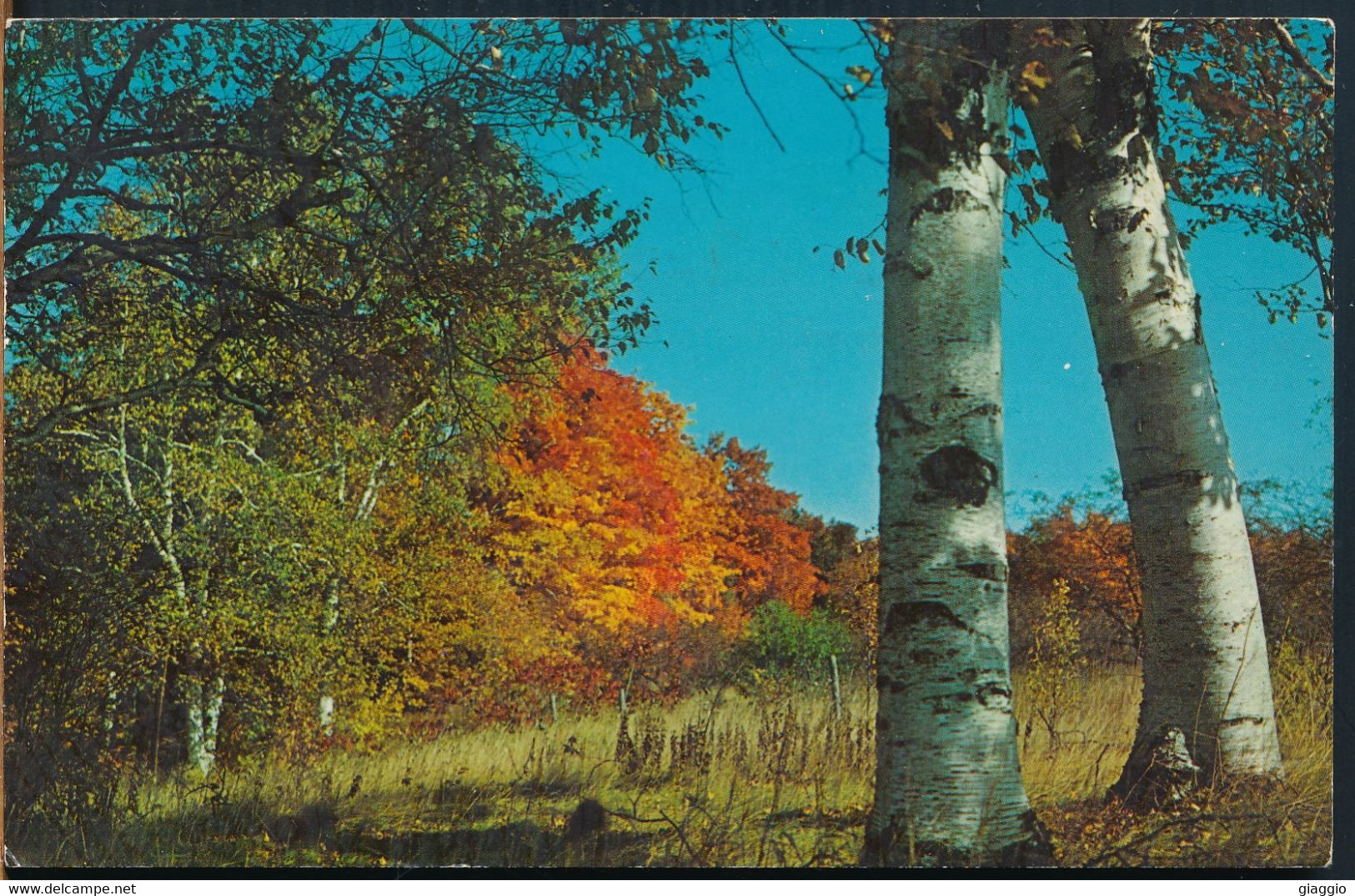 °°° 25338 - USA - WI - BIRCHES AND MAPLES - 1973 With Stamps °°° - Racine