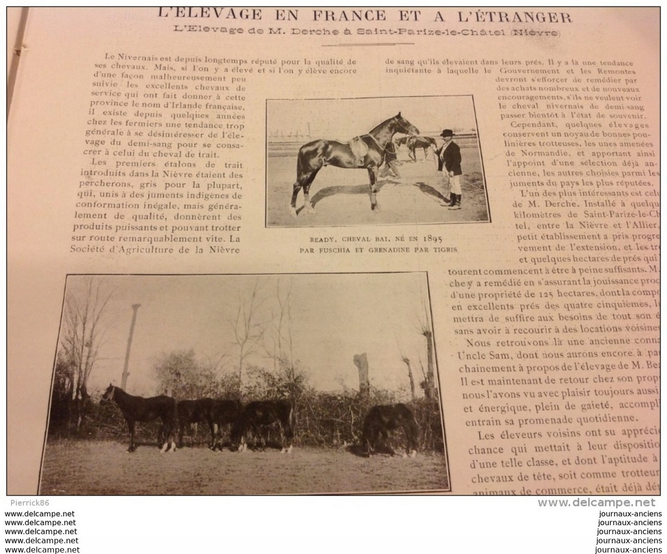 1905 LA FERRURE DU CHEVAL DE COURSE - ÉLEVAGE À SAINT PARIZE LE CHÀTEL ( NIÈVRE ) - YACHTING ET MARINE - KIEL - Tijdschriften - Voor 1900