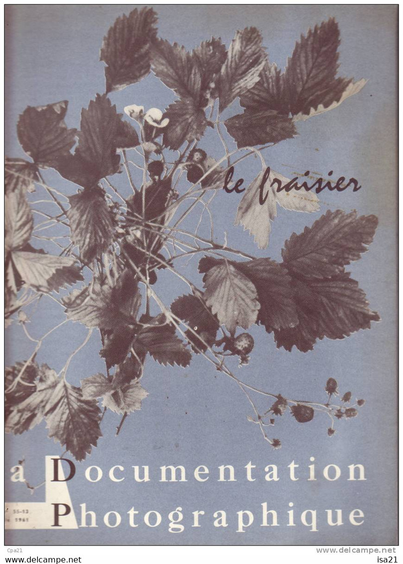 La Documentation Photographique: Le Fraisier - Jardinage