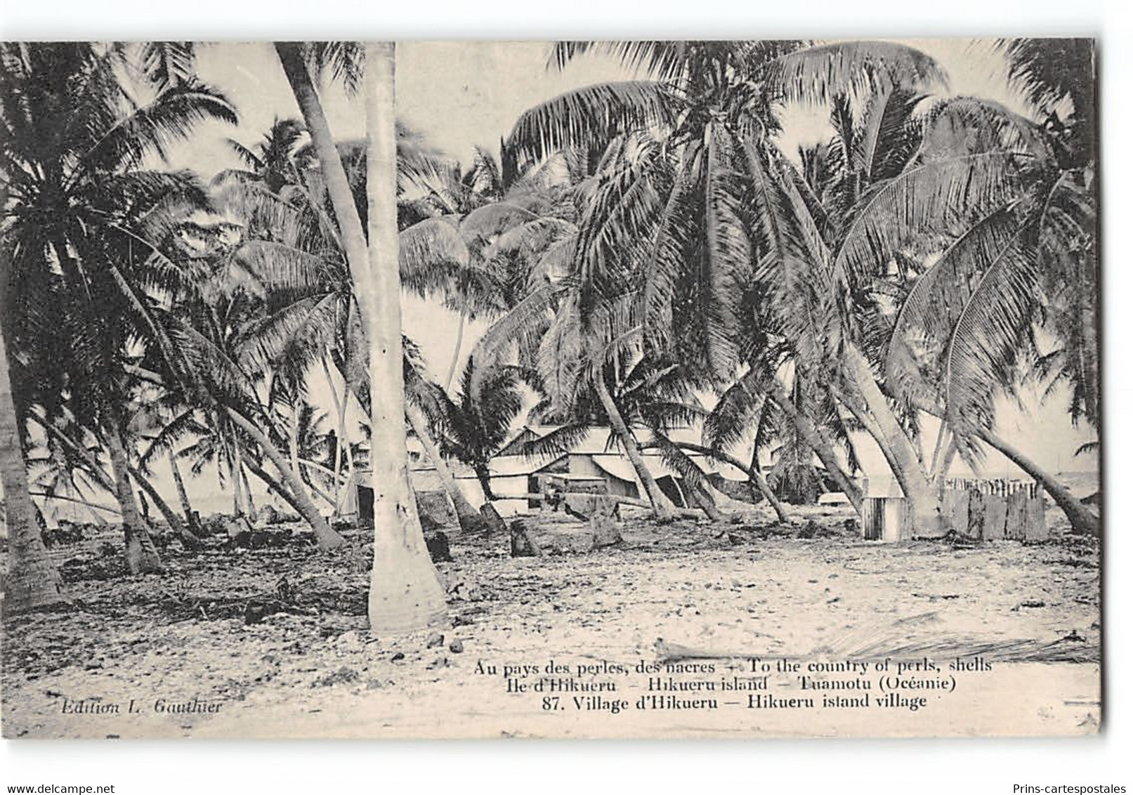 CPA Tahiti Au Pays Des Perles Des Nacres Ile Hikueru Tuamotu - Le Village - Polynésie Française