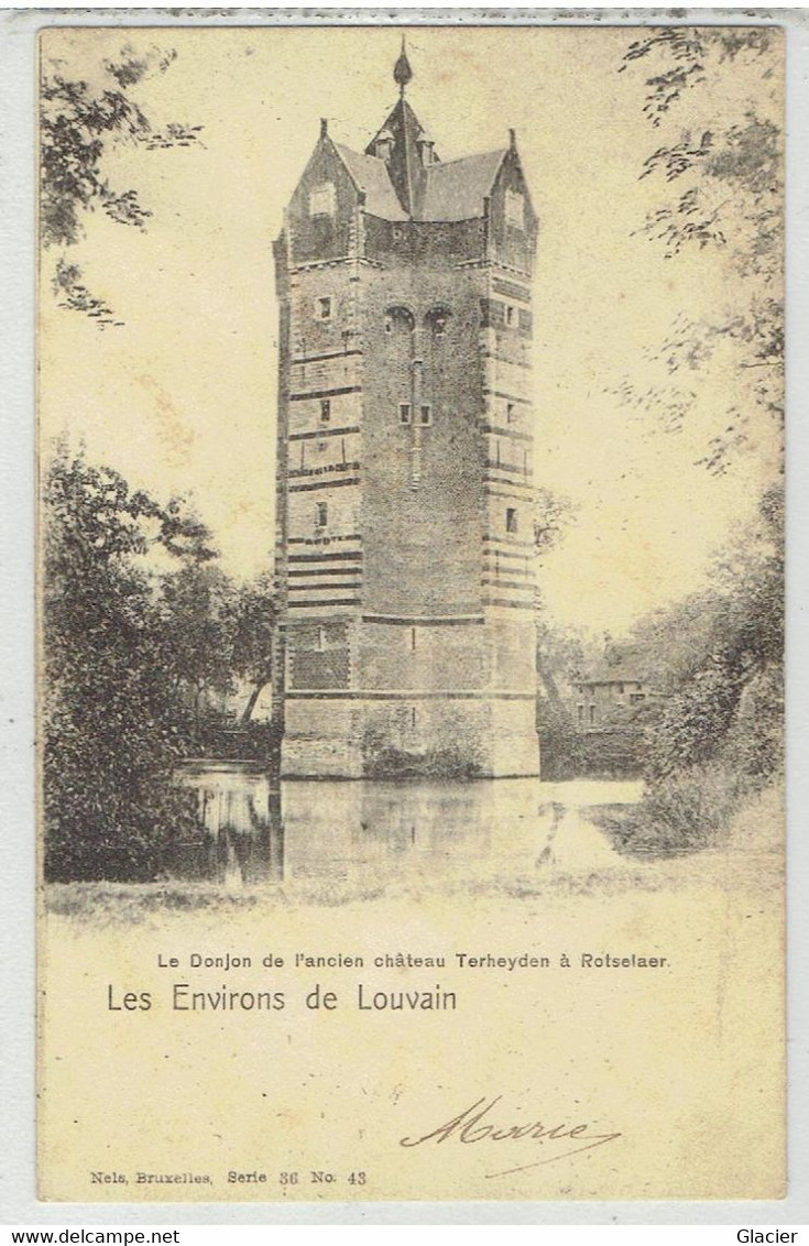 Les Environs De LOUVAIN - ROTSELAER : Le Donjon De L'ancien Château Terheyden - Rotselaar