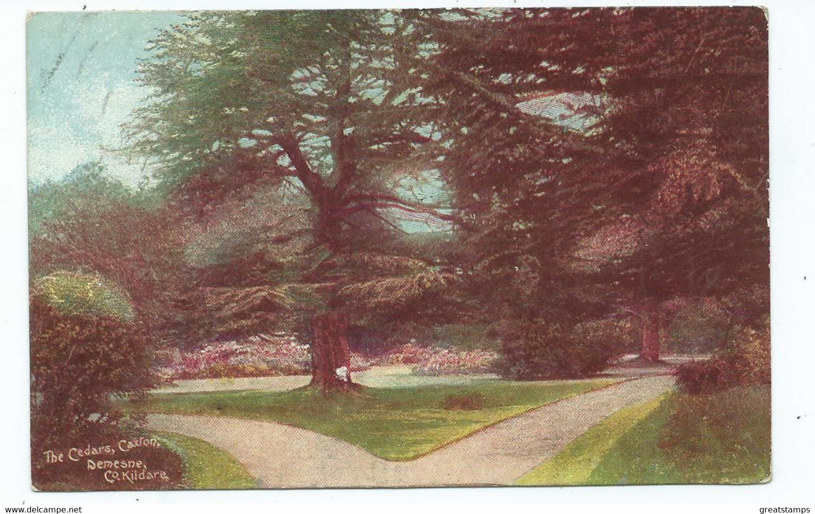 Postcard  Ireland County Kildare The Cedars Caxton Demesne Posted Alexandria 1907 Emerald Series - Kildare