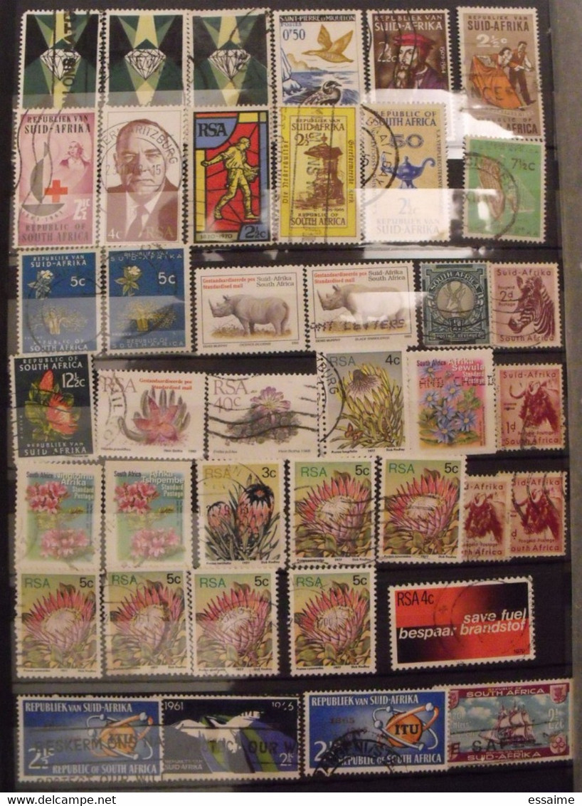 Afrique Du Sud. Suid-Afrika. South-Africa. RSA. Collection De 280  Timbres - Collections, Lots & Séries