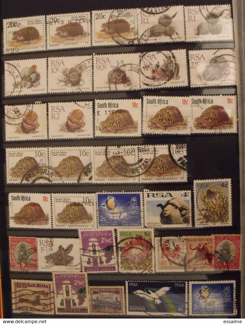 Afrique du sud. Suid-Afrika. South-Africa. RSA. collection de 280  timbres