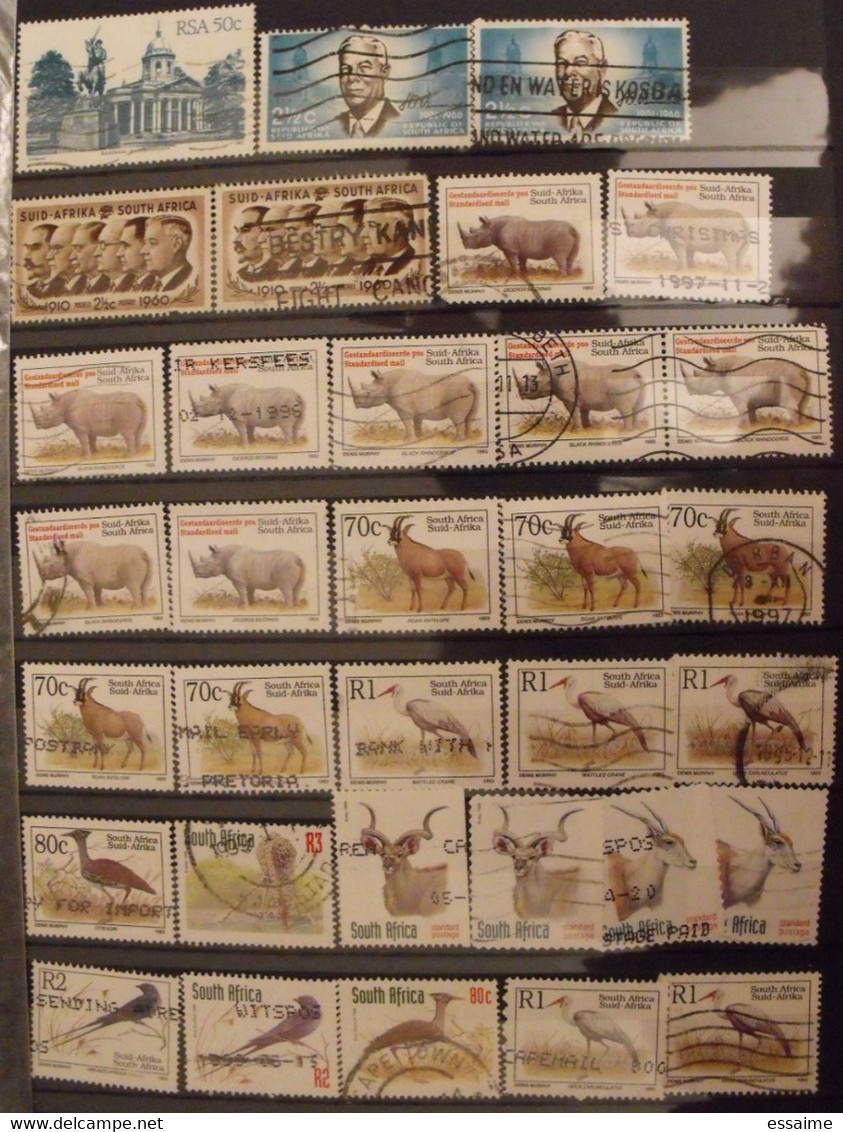 Afrique du sud. Suid-Afrika. South-Africa. RSA. collection de 280  timbres