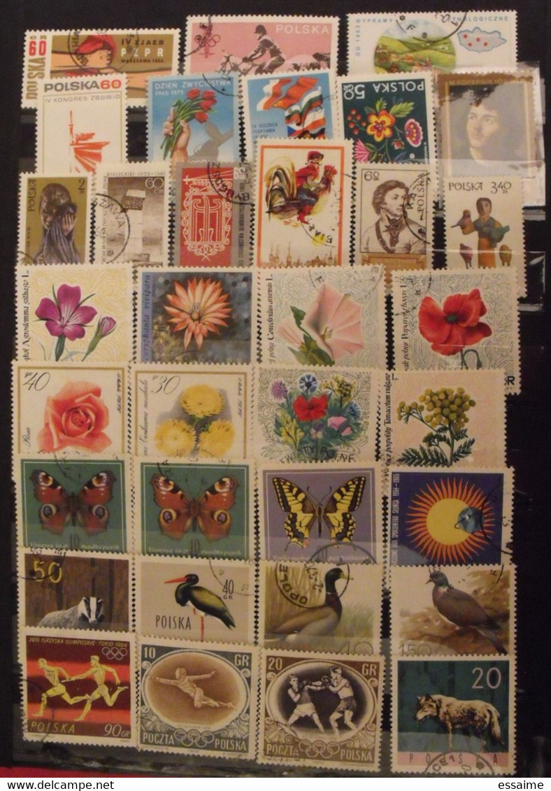 Pologne Poland Polska. collection de 560  timbres + blocs