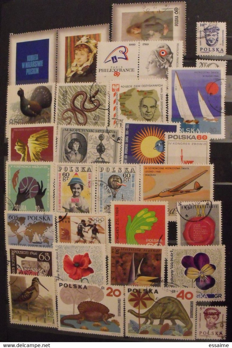 Pologne Poland Polska. collection de 560  timbres + blocs