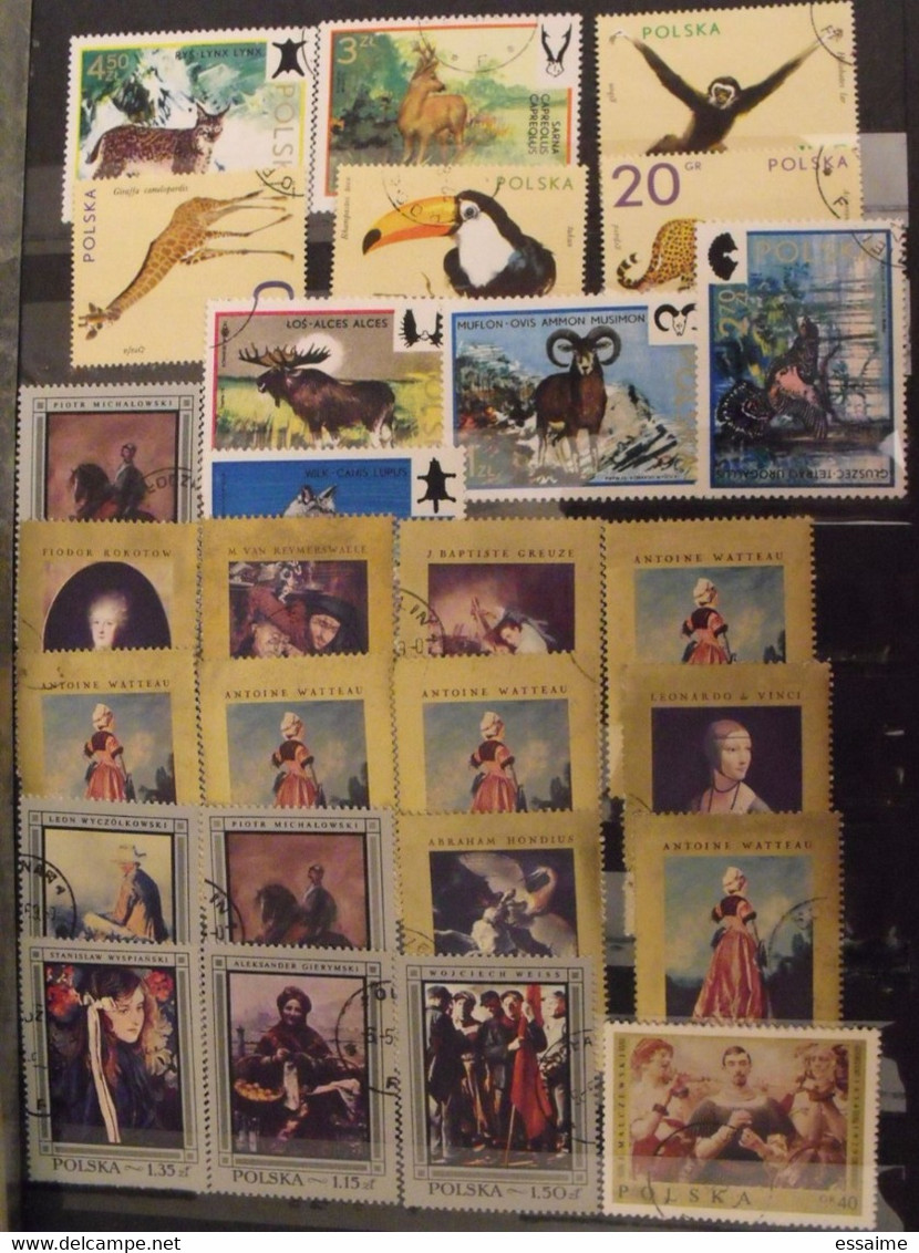 Pologne Poland Polska. collection de 560  timbres + blocs