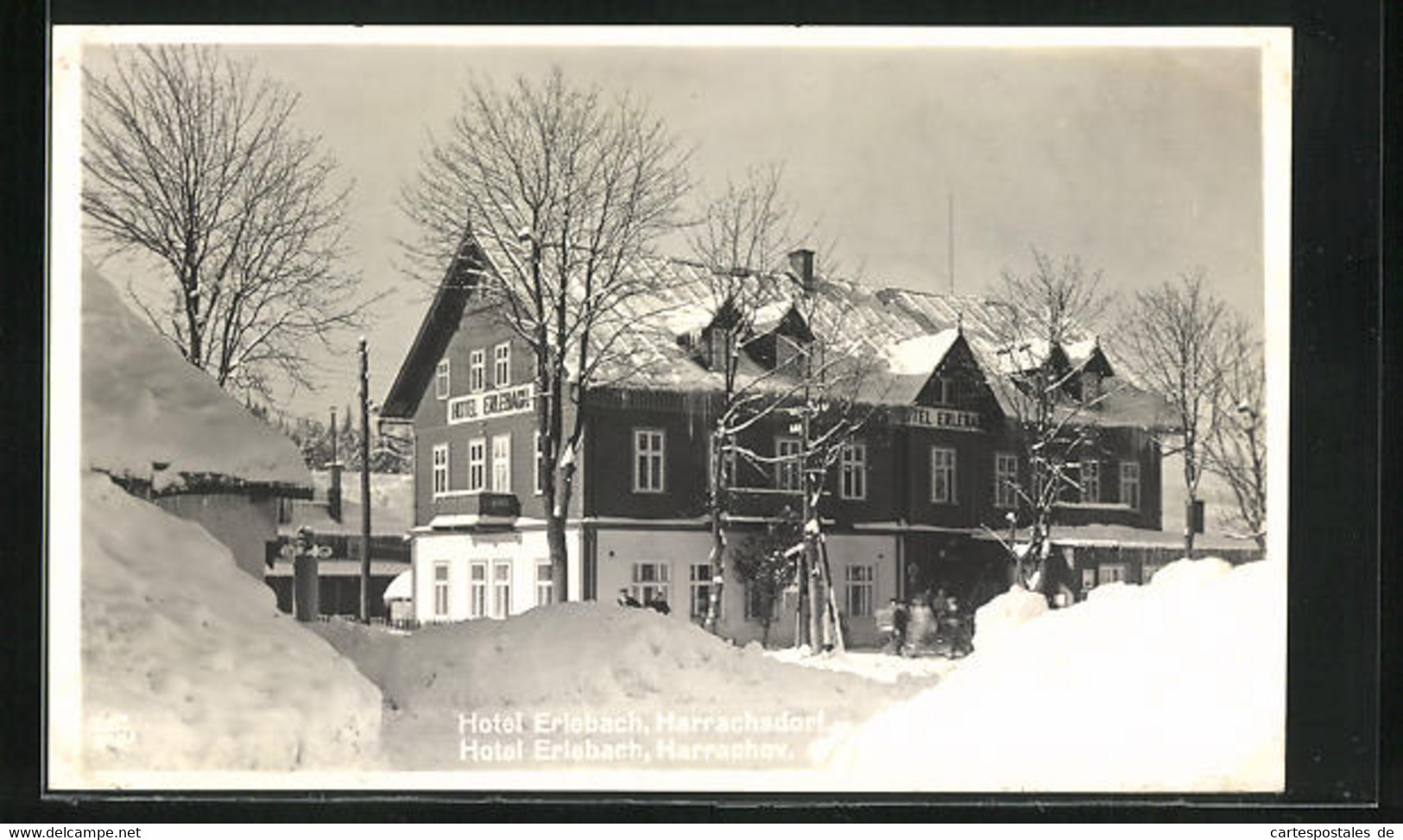 AK Harrachov, Hotel Erlebach Im Winter - Tsjechië