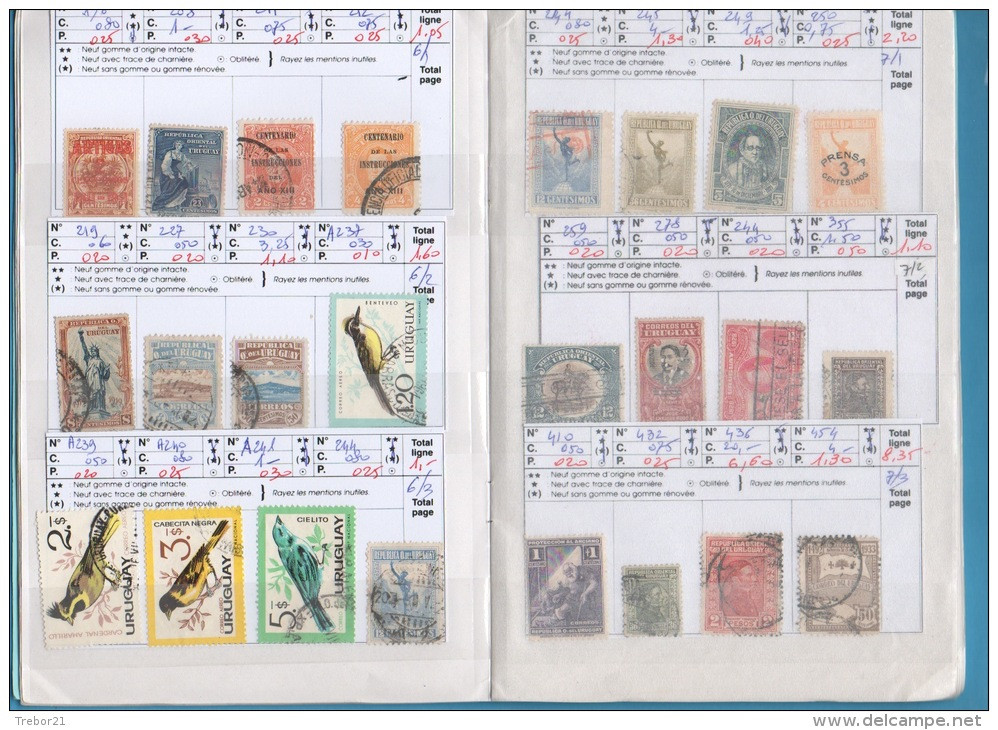 URUGUAY, PARAGUAY  - Cote  327  Euros - - Collections (en Albums)