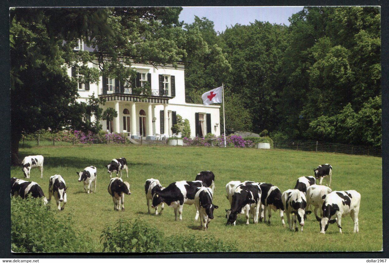 Hotel De Valkenberg Arnhemsestraatweg 12  6991 AM Rheden   - NOT  Used  2 Scans For Condition. (Originalscan !! ) - Rheden