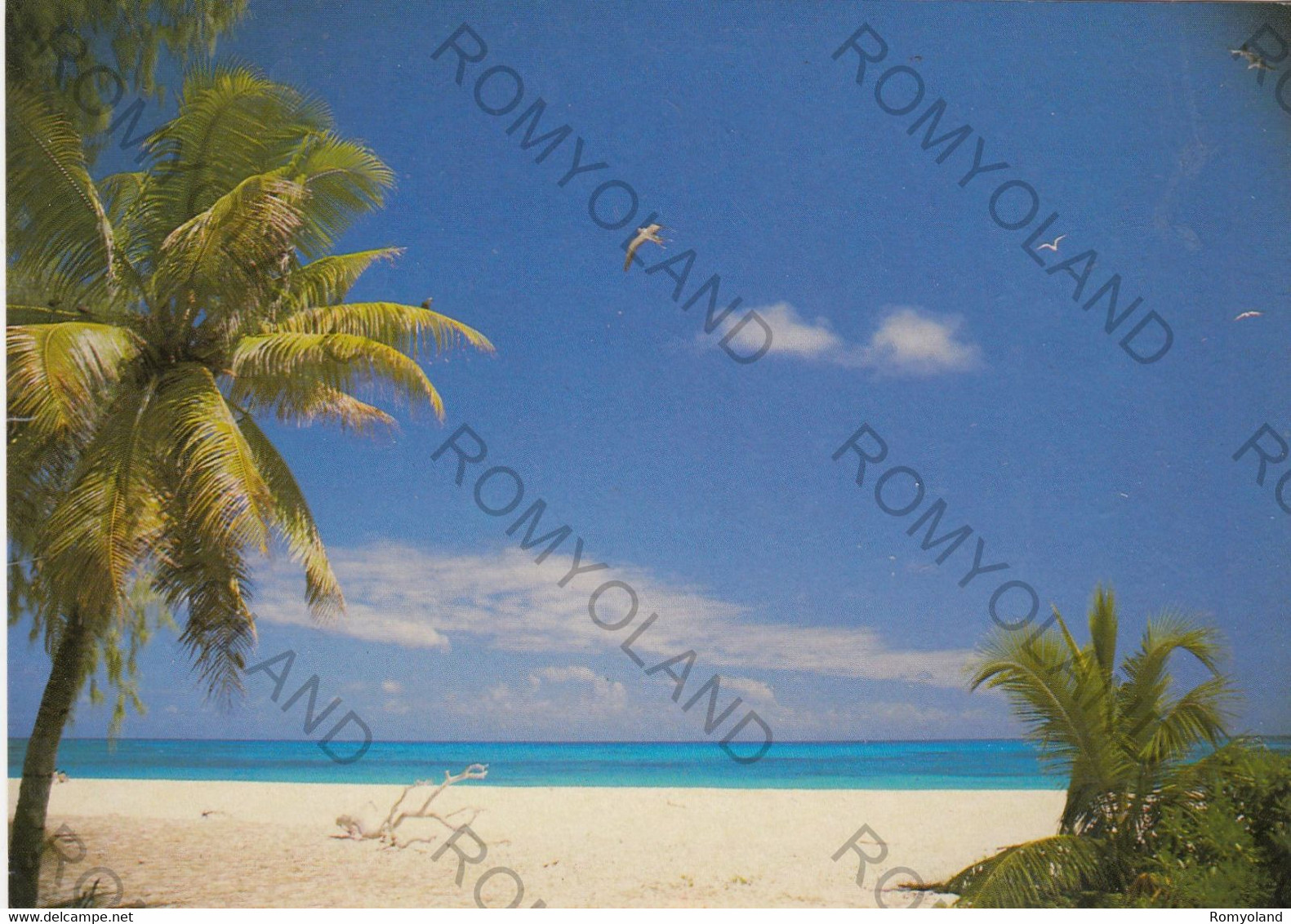 CARTOLINA  SEYCHELLES,BIRD ISLAND,VIAGGIATA 1989 - Seychelles