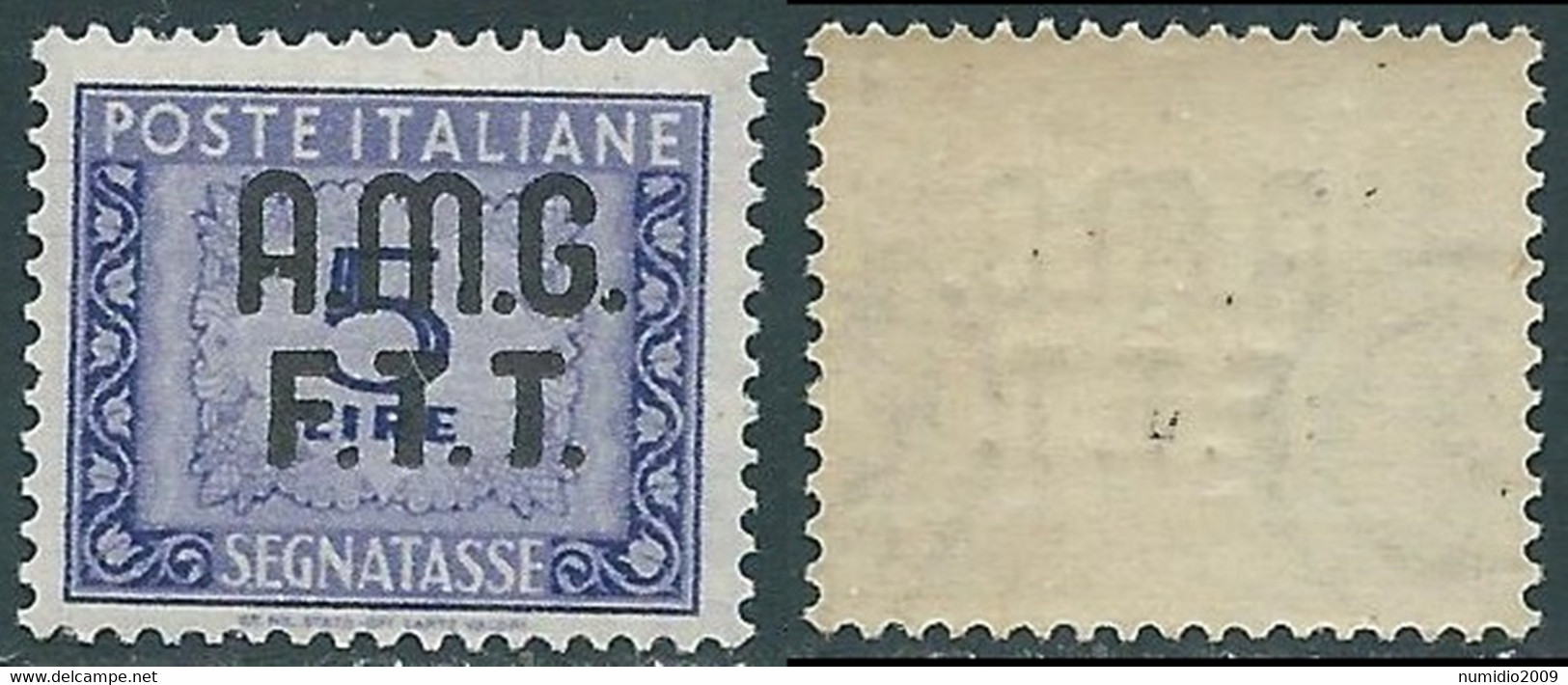 1947-49 TRIESTE A SEGNATASSE 5 LIRE MNH ** - RE2 - Taxe