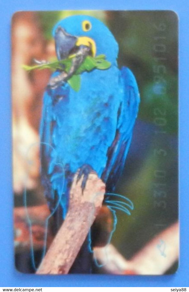 Germany Parrot Bird Hyacinth Macaw Oiseaux Pappagallo Vogel Birds Parrots Telefonkarte - Loros
