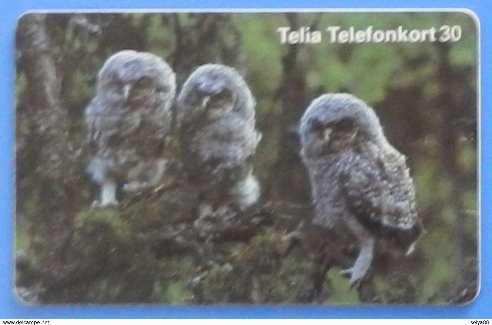 Sweden Bird Uccello Oiseaux Vogel Birds Pajaro Telia Telefonkort Owl Eulen Gufo - Gufi E Civette