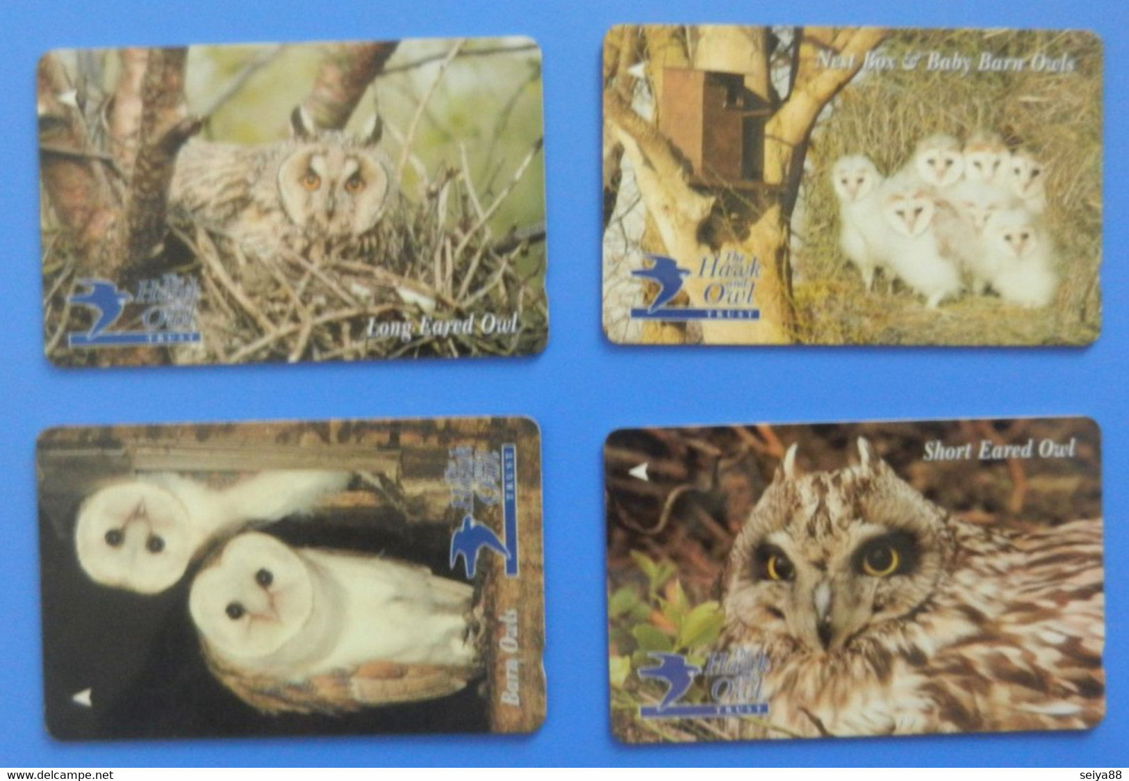 Jersey Telecoms Owl X4 Complete Set Cards Bird Oiseaux Vogel Birds Owls Eulen Gufo - Eulenvögel