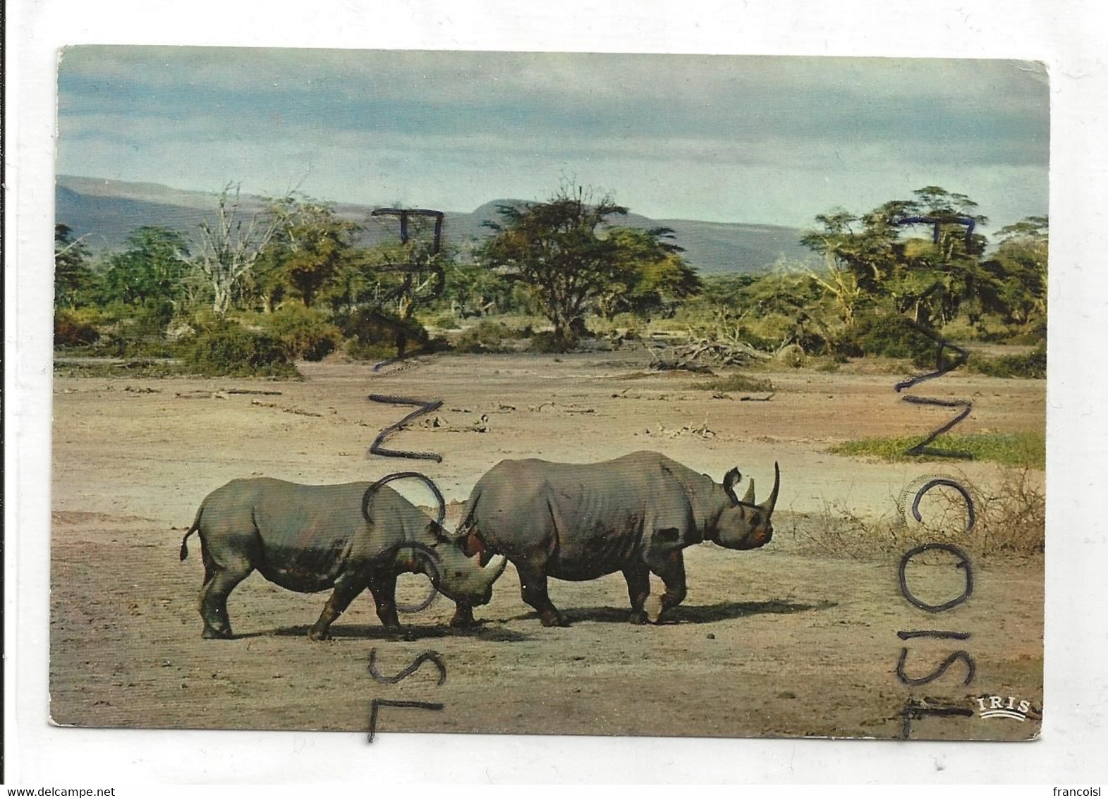 Faune Africaine. Rhinocéros. Hoa-Qui 4062. 1967. IRIS - Neushoorn