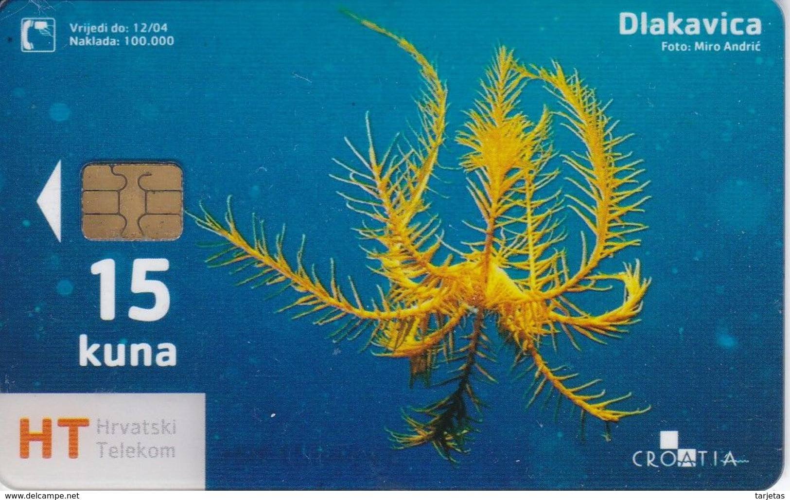 TARJETA DE CROACIA DE UNA ESTRELLA DE MAR - Peces