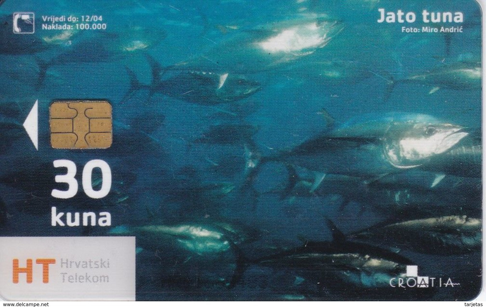 TARJETA DE CROACIA DE UNOS PECES (FISH-PEZ) - Peces