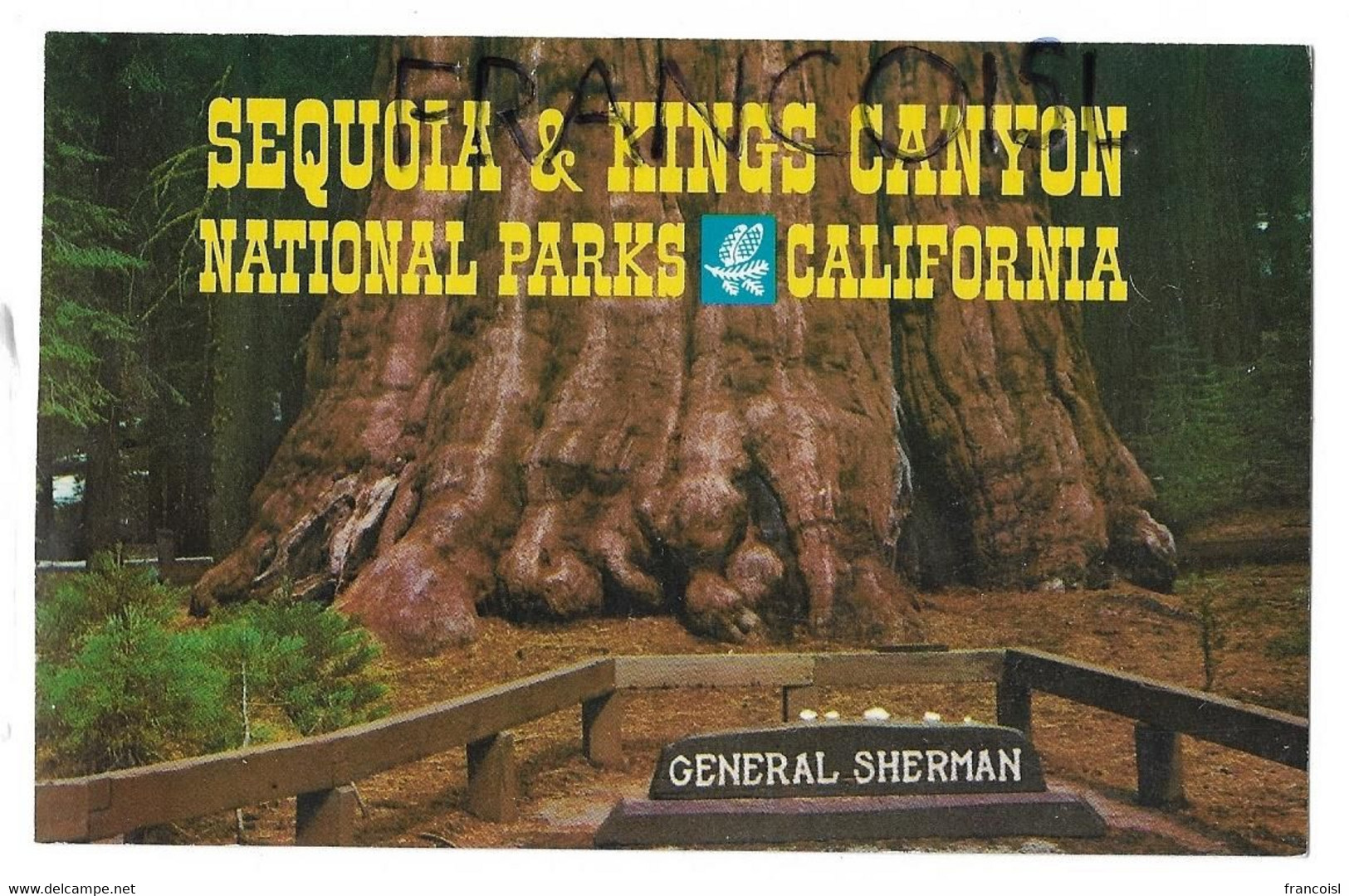 USA.  Californie. Sequoia & Kings Canyon. General Sherman Tree - Kings Canyon