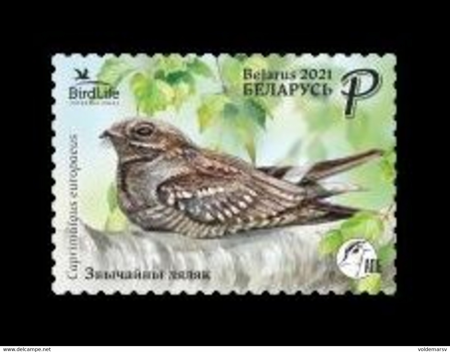 Belarus 2021 Mih. 1401 Fauna. Bird Of The Year. European Nightjar MNH ** - Belarus