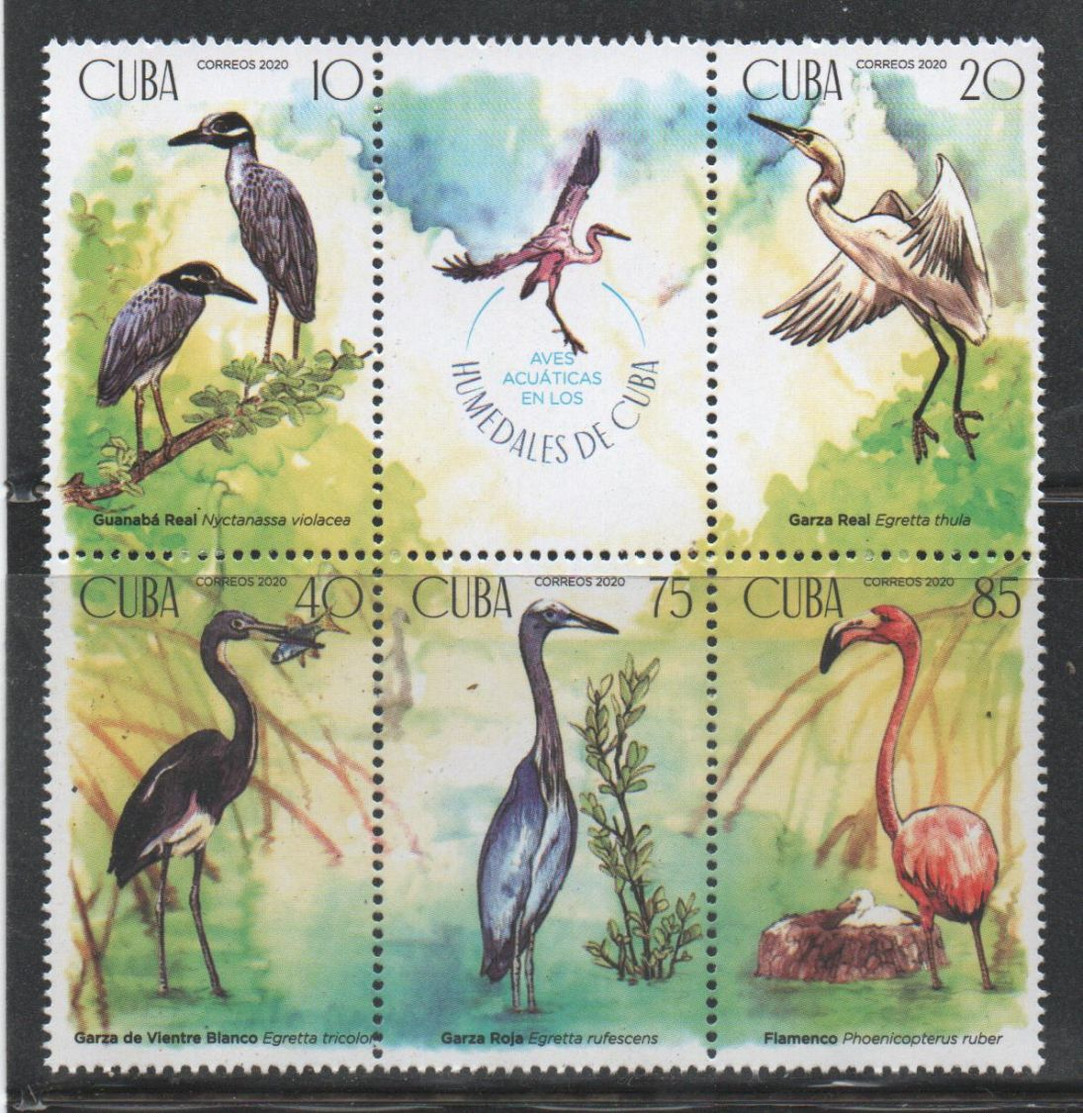 Cuba 2020 Water Birds, Aves Acuaticas 5v MNH - Cranes And Other Gruiformes