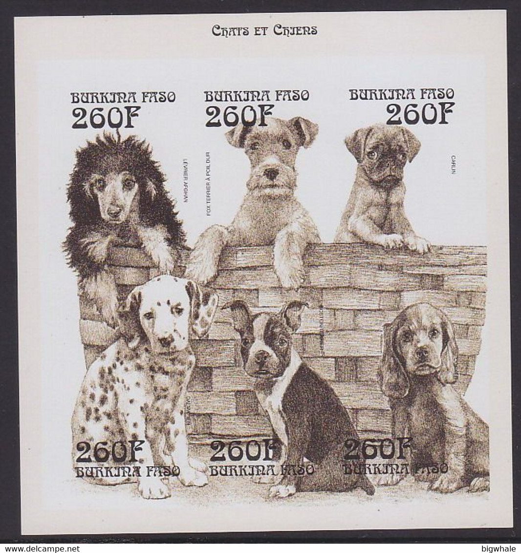 Burkina Faso 1999 Dog Chien MNH 1sheet+2SS Imperforate Rare - Burkina Faso (1984-...)