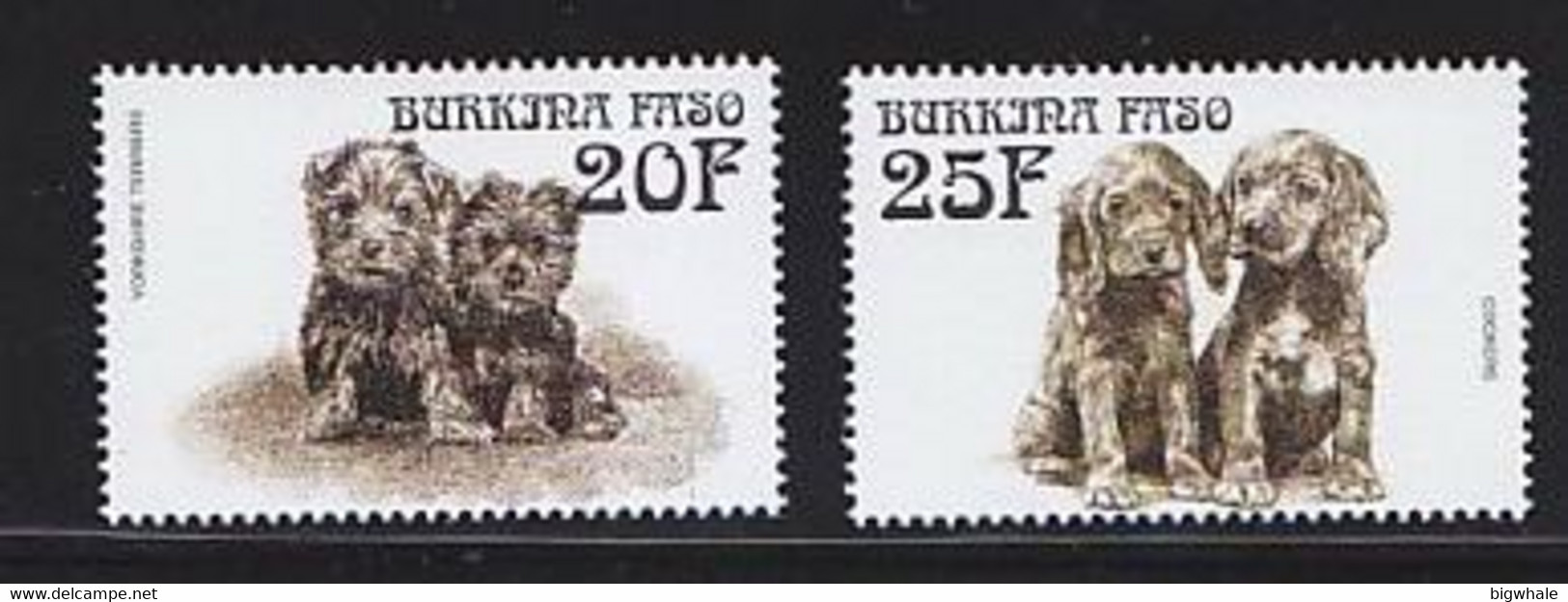 Burkina Faso 1999 Dog Chien MNH 2V - Burkina Faso (1984-...)