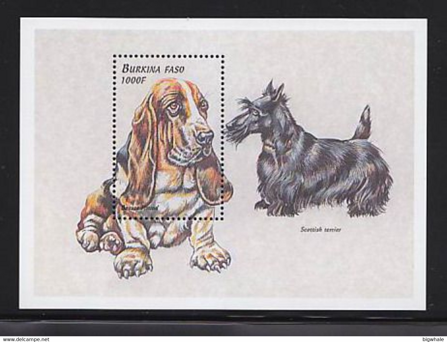 Burkina Faso 1999 Dog Chien MNH 1SS+1Sheet - Burkina Faso (1984-...)