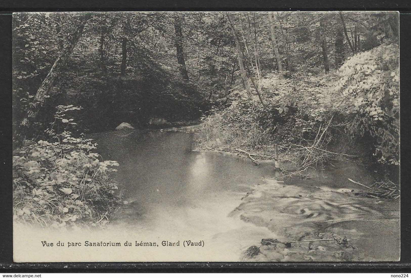 Carte P De 1906 ( Vue Du Parc Sanatorium Du Léman, Gland ) - Gland