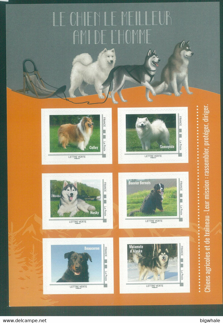 France Dog Chien MNH 1 Sheet** - Sonstige & Ohne Zuordnung