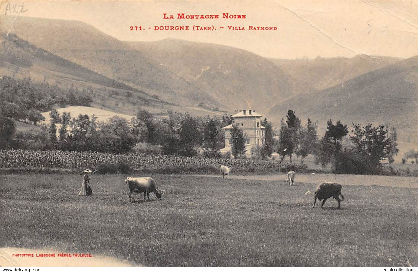 Dourgne            81       Villa Raymond           N°211         Pli   (voir Scan) - Dourgne