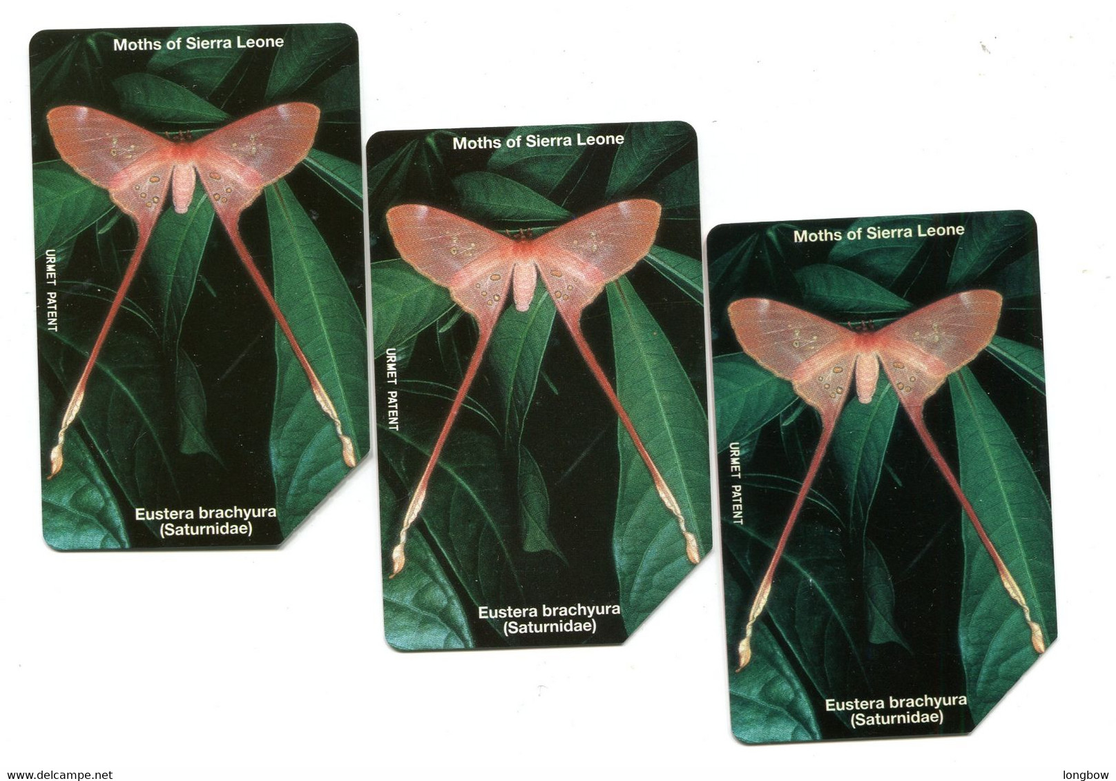 Moths Of Sierra Leone , Eustera Brachyura , 3 Cards Used - Sierra Leona