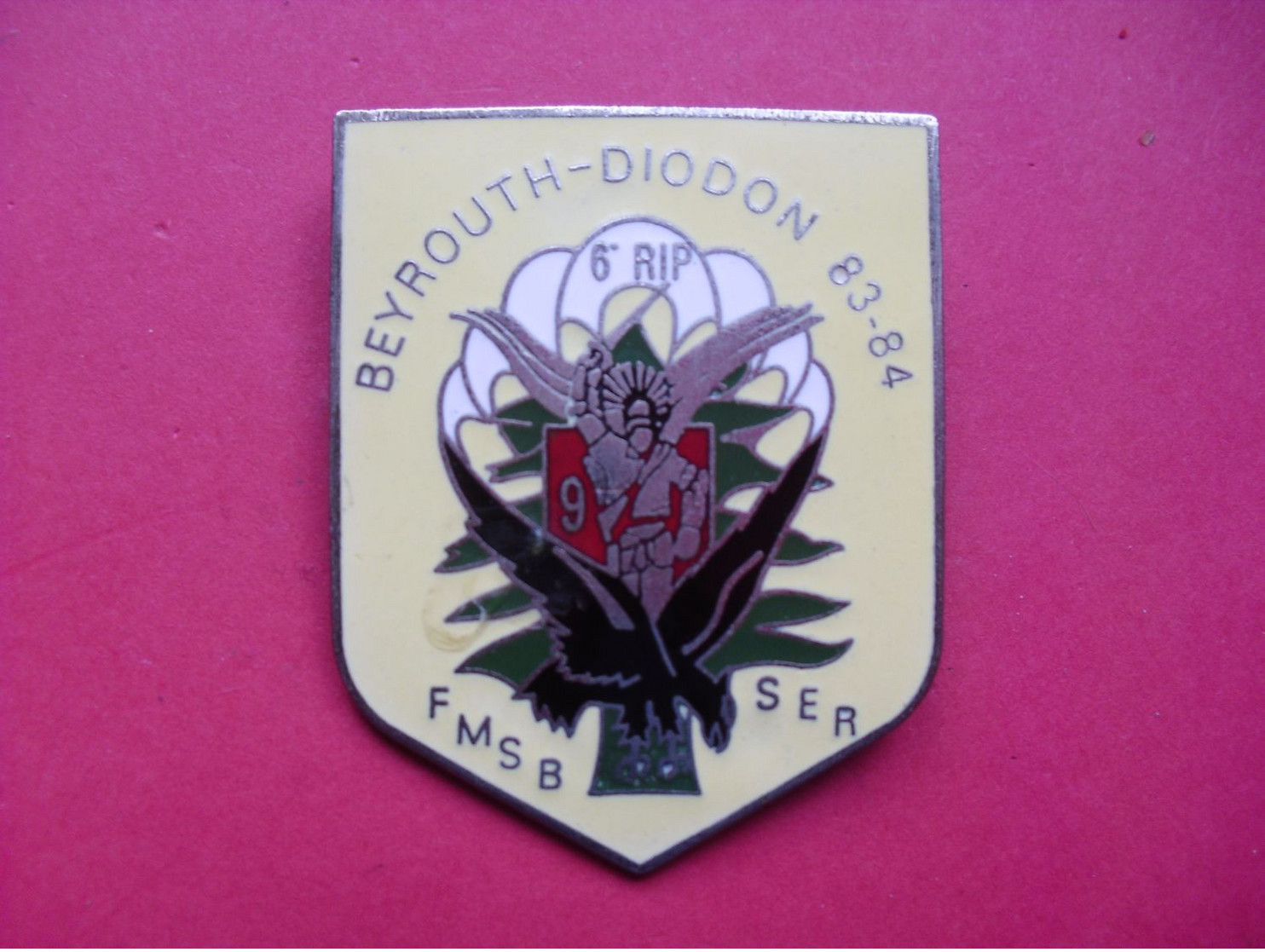 6° Rég. Para. D'Inf. De Marine  /  6° R I P + 9° R C P  DIODON  83  84   S E R - Armée De Terre