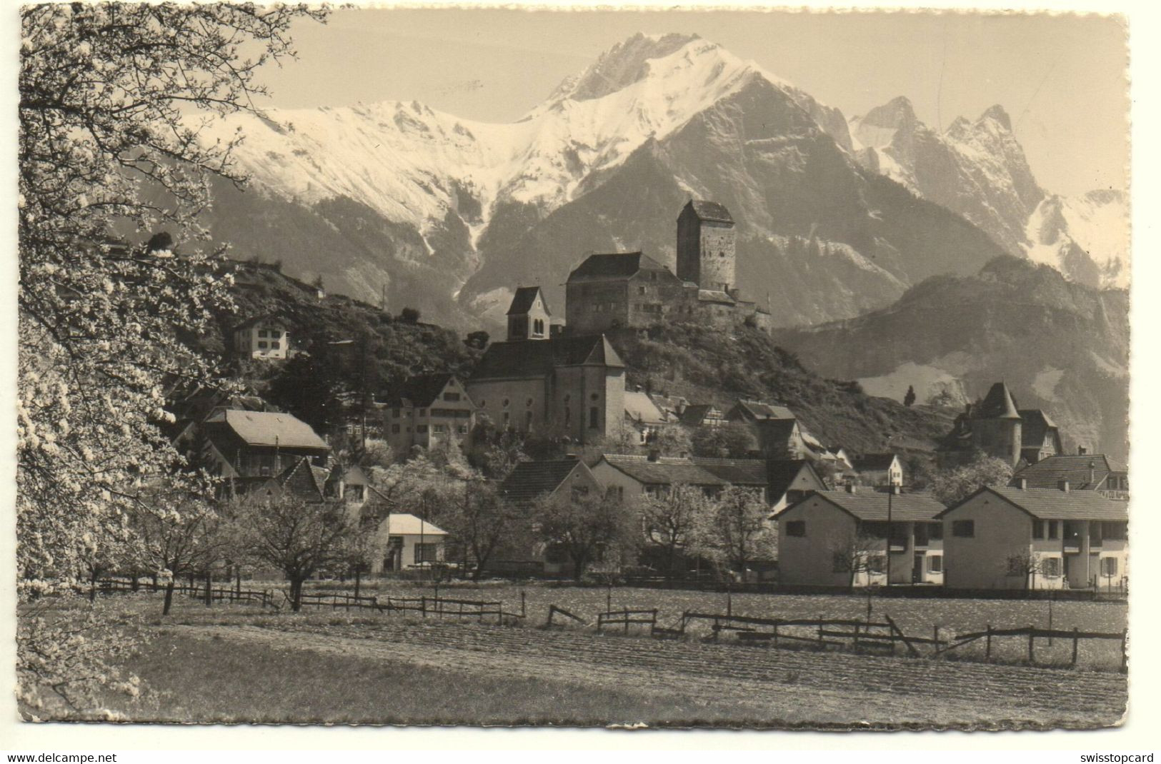 SARGANS Mit Schloss & Falknis - Sargans