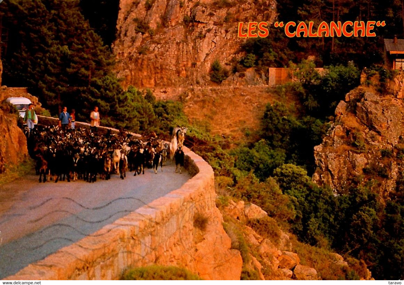 LA CORSE IL Y A 20 ANS : PIANA, Dans Les Calanche, Un Troupeau De Chèvres Transhumant Vers La Montagne - Otros & Sin Clasificación