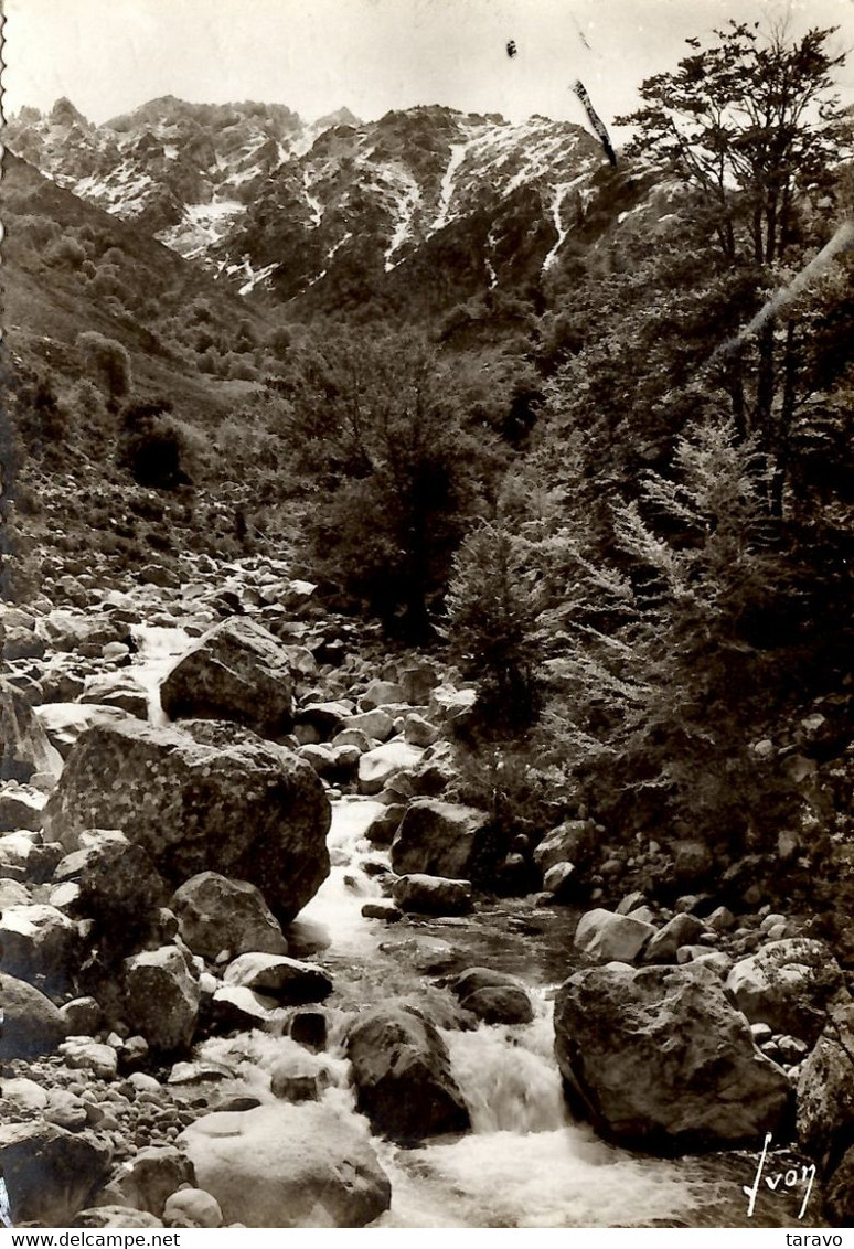 LA CORSE IL Y A 60 ANS : TORRENT AUX ENVIRONS DE BOCOGNANO - Otros & Sin Clasificación