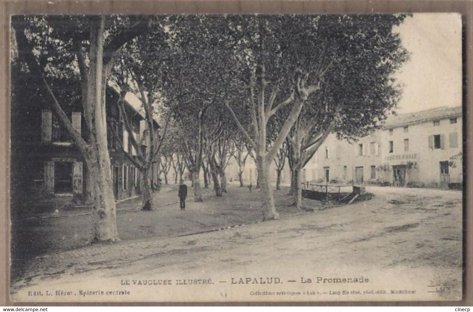 CPA 84 - LAPALUD - La Promenade - TB PLAN Boulevard CENTRE VILLAGE ANIMATION Sous Les Arbres Devanture Café De Paris - Lapalud