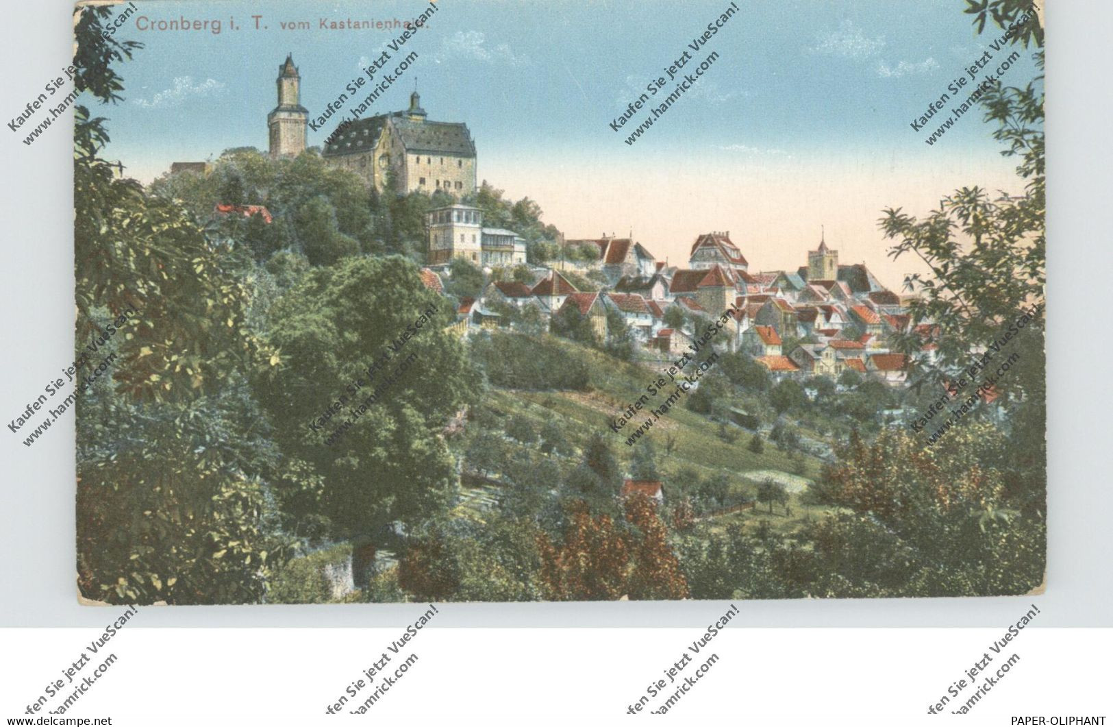 6242 KRONBERG, Blick Vom Kastanienhain, 1919 - Kronberg