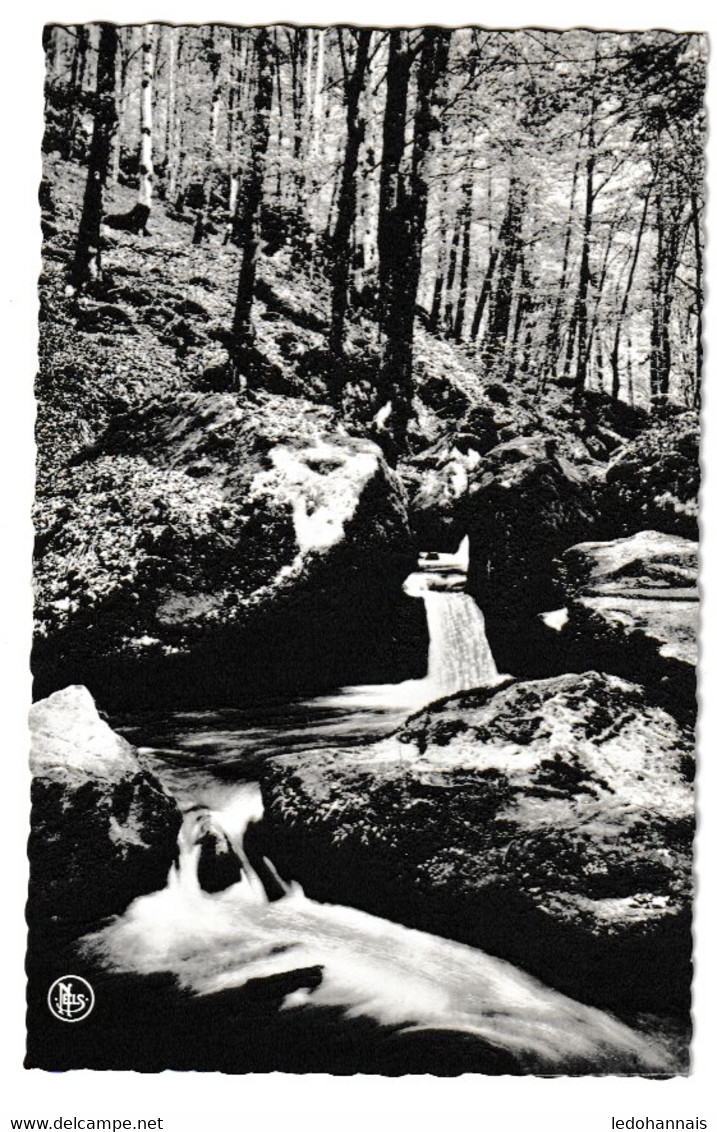 ECHTERNACH BERDORF MULLERTHAL PETITE SUISSE LE HALLERBACH - Echternach