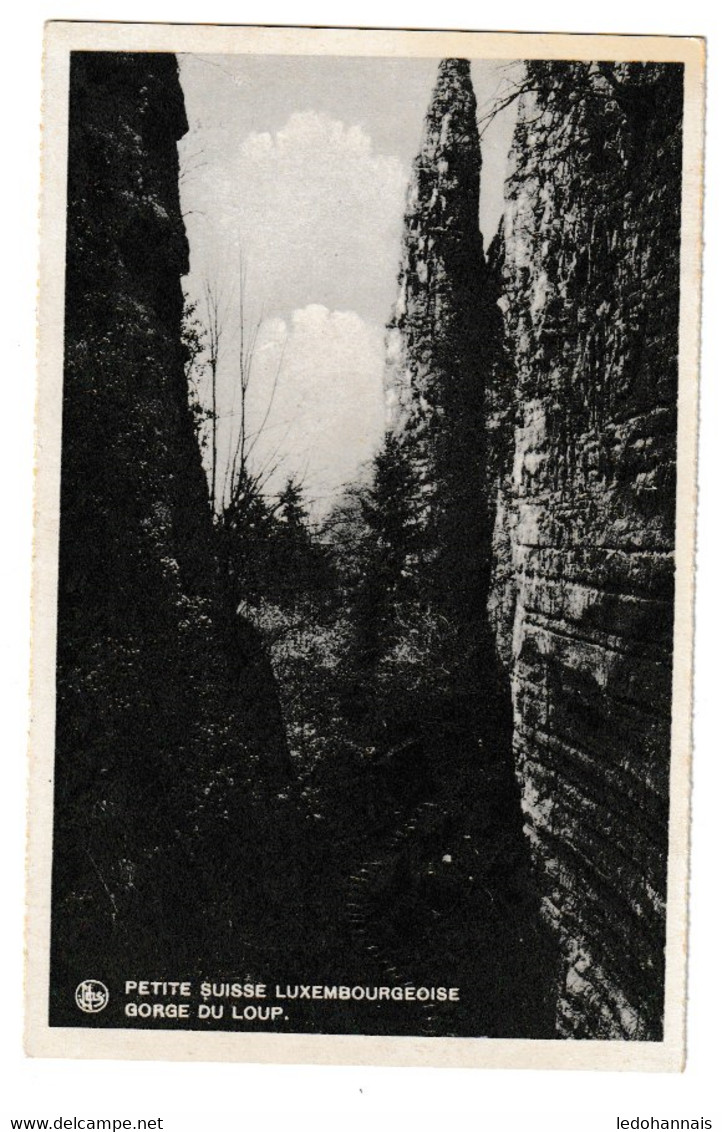 ECHTERNACH BERDORF MULLERTHAL PETITE SUISSE LA GORGE DU LOUP - Echternach